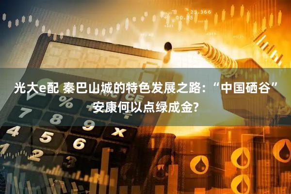 光大e配 秦巴山城的特色发展之路: “中国硒谷”安康何以点绿成金?