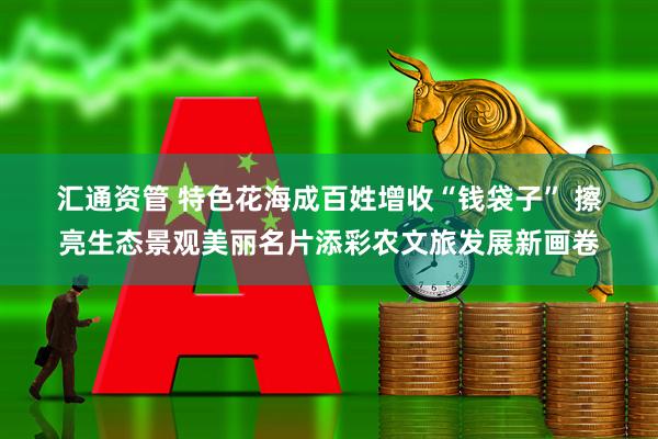 汇通资管 特色花海成百姓增收“钱袋子” 擦亮生态景观美丽名片添彩农文旅发展新画卷