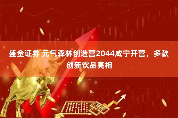 盛金证券 元气森林创造营2044咸宁开营，多款创新饮品亮相